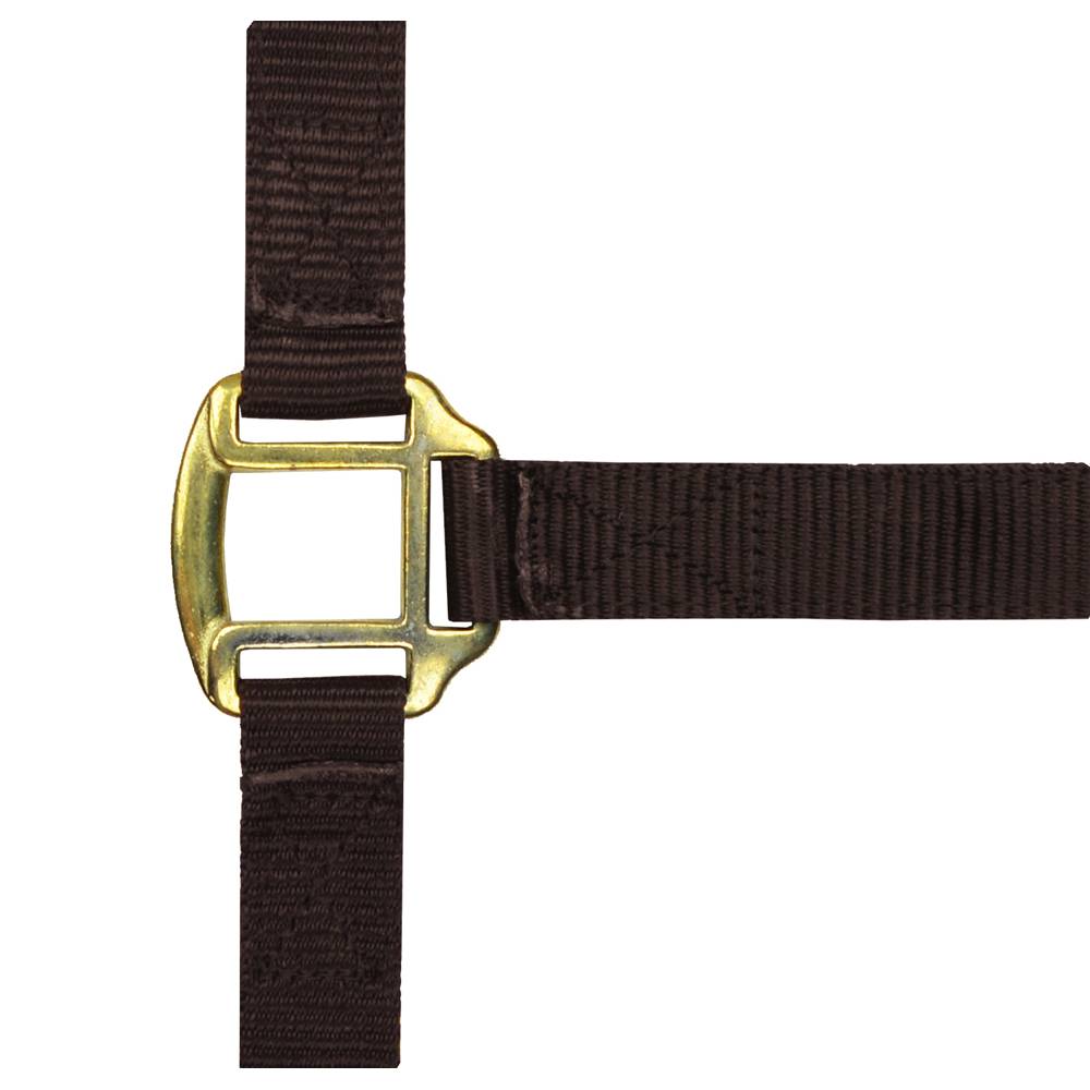Norton - Licol nylon marron doublé cuir pour pur-sang - Imagen 1