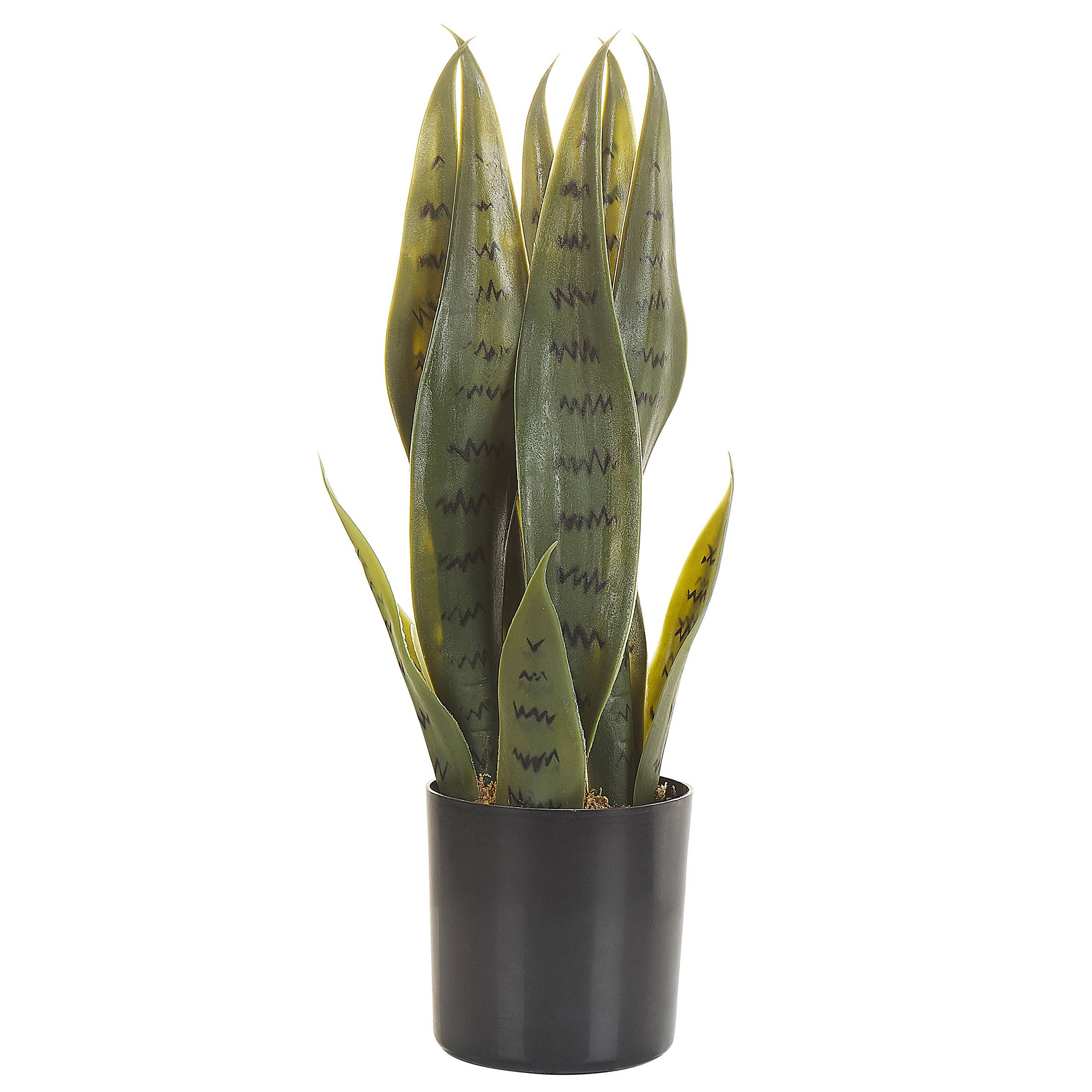 Beliani - Plante artificielle Matière synthétique Vert SNAKE PLANT - 10x10x40- Beliani - Image 2