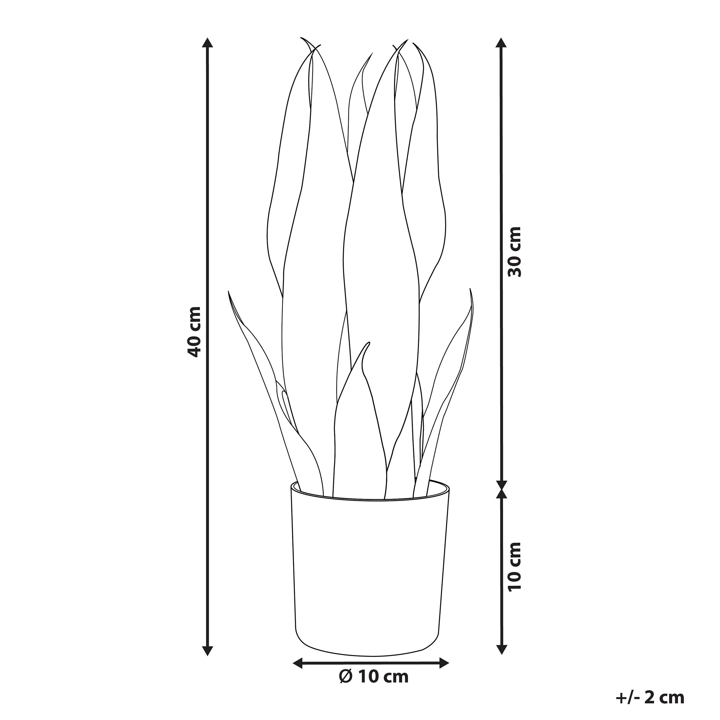 Beliani - Plante artificielle Matière synthétique Vert SNAKE PLANT - 10x10x40- Beliani - Image 3