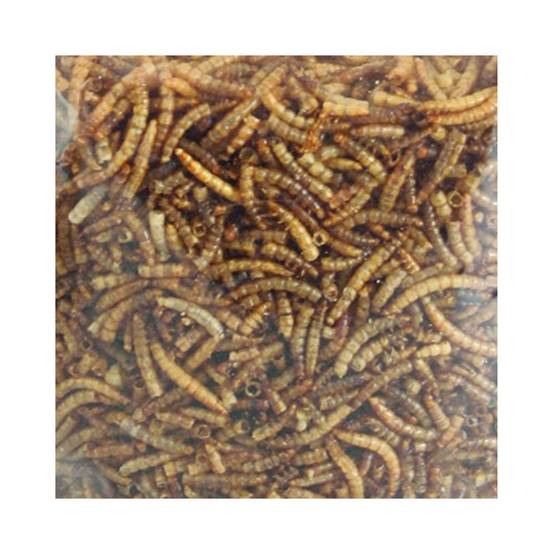 Vers de farine séchés PickNick seau de 540 g pour oiseaux - Image 3