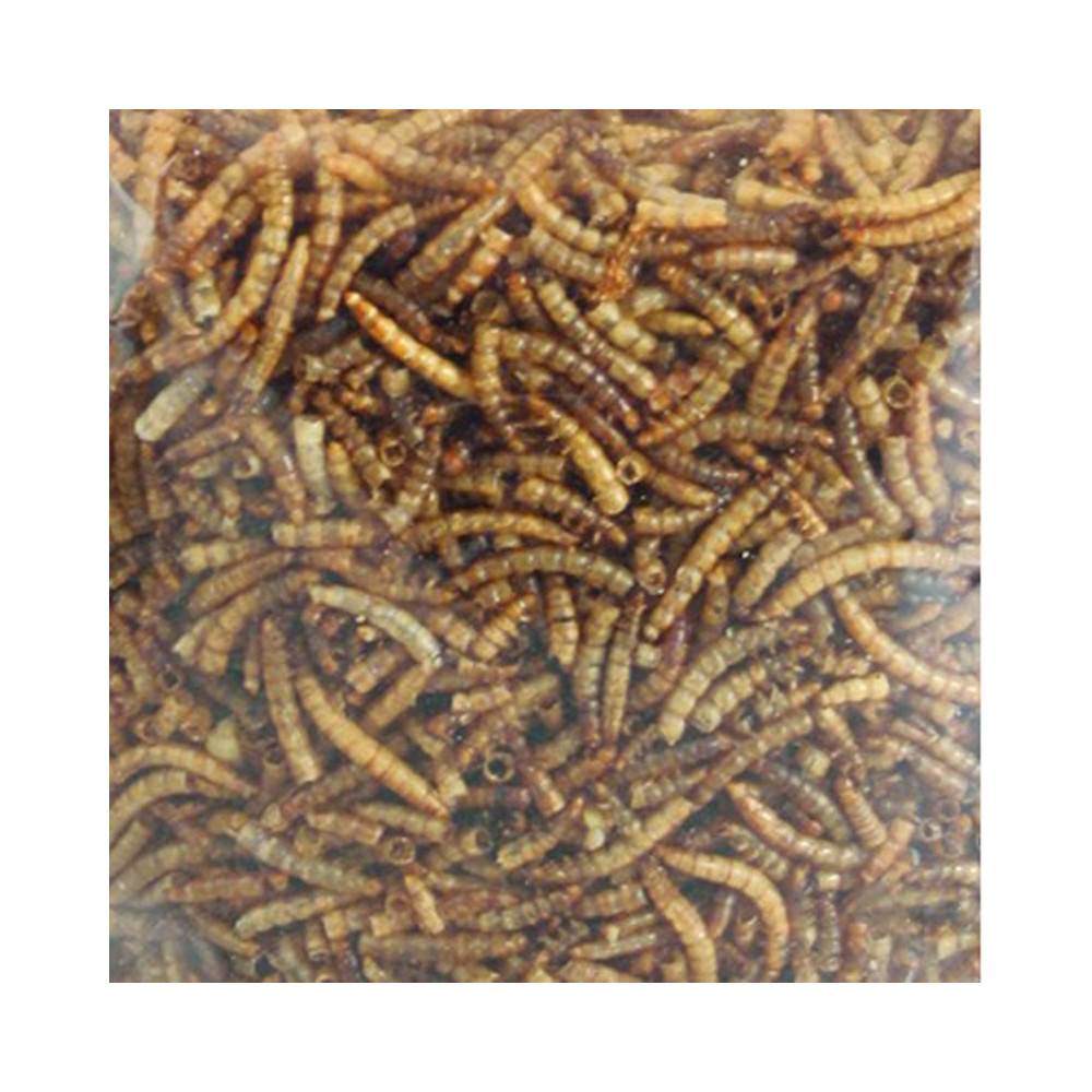 Vers de farine séchés PickNick seau de 540 g pour oiseaux - Image 3