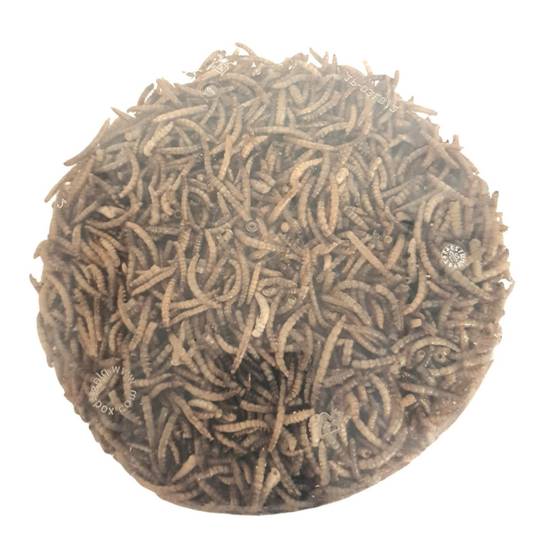 Vers de farine séchés PickNick seau de 540 g pour oiseaux - Image 4