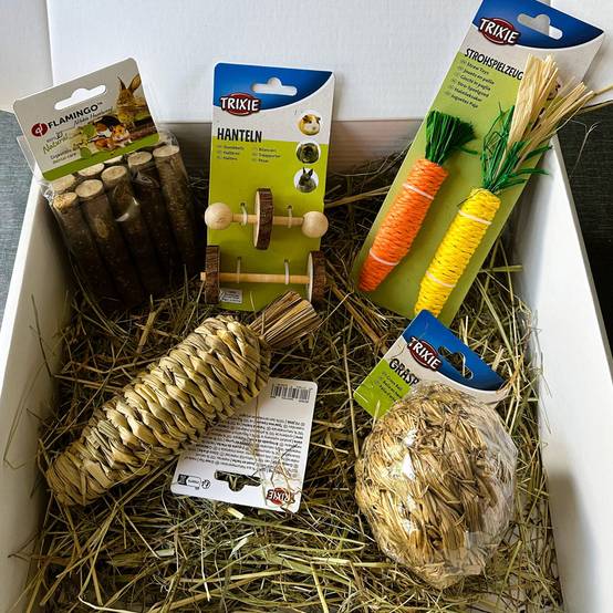 Box jouets pour lapins - Jouets 100% naturels - L'Eden des Pattounes - Image 2