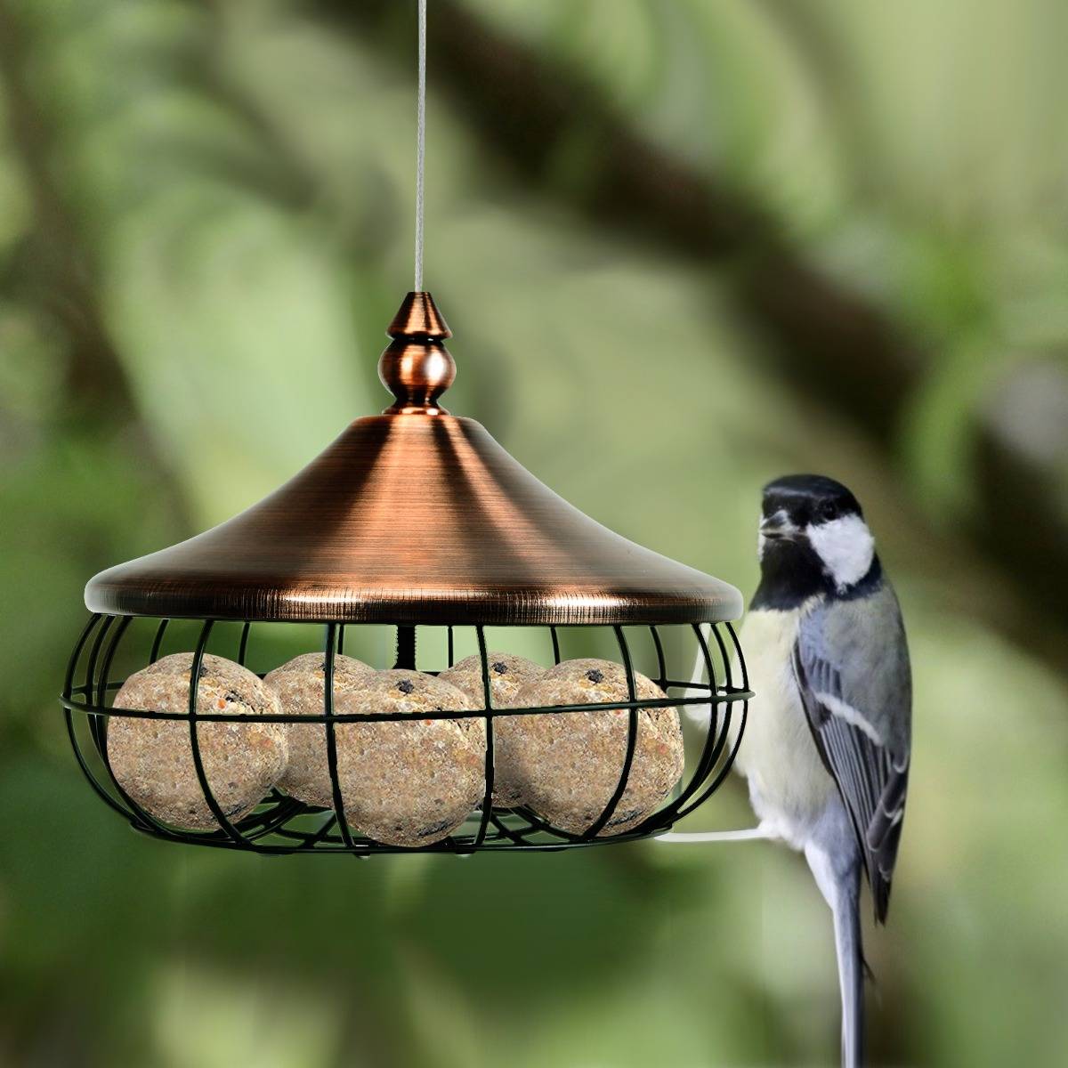 Mangeoire pour Oiseaux Distributeur de Nourriture pour Oiseaux Sauvages à Suspendre en Extérieur pour Boules de Graisse - Image 2