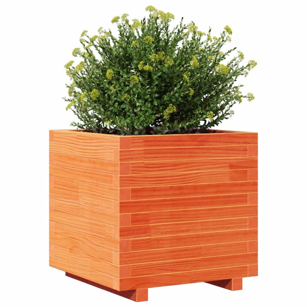 Jardinière | Pot de fleurs | Cache-pot | Bac à fleurs cire marron 50x50x49,5 cm bois de pin massif - Image 4