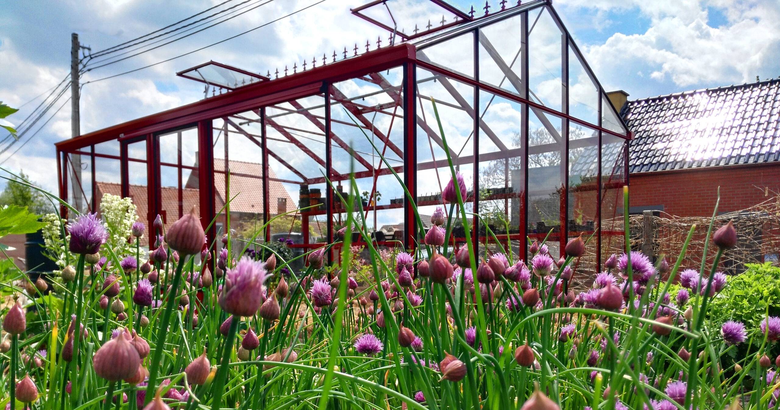 15m²  -  Serre en polycarbonate 8 mm alvéolés  - Euro Plus - Laquée - 15m² - rouge brun - L'atelier Des Serres - Imagen 3