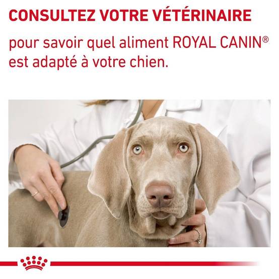 Royal Canin - Croquettes chien VETERINARY DOG ADULT LARGE - Royal Canin 13 kg - Imagen 8