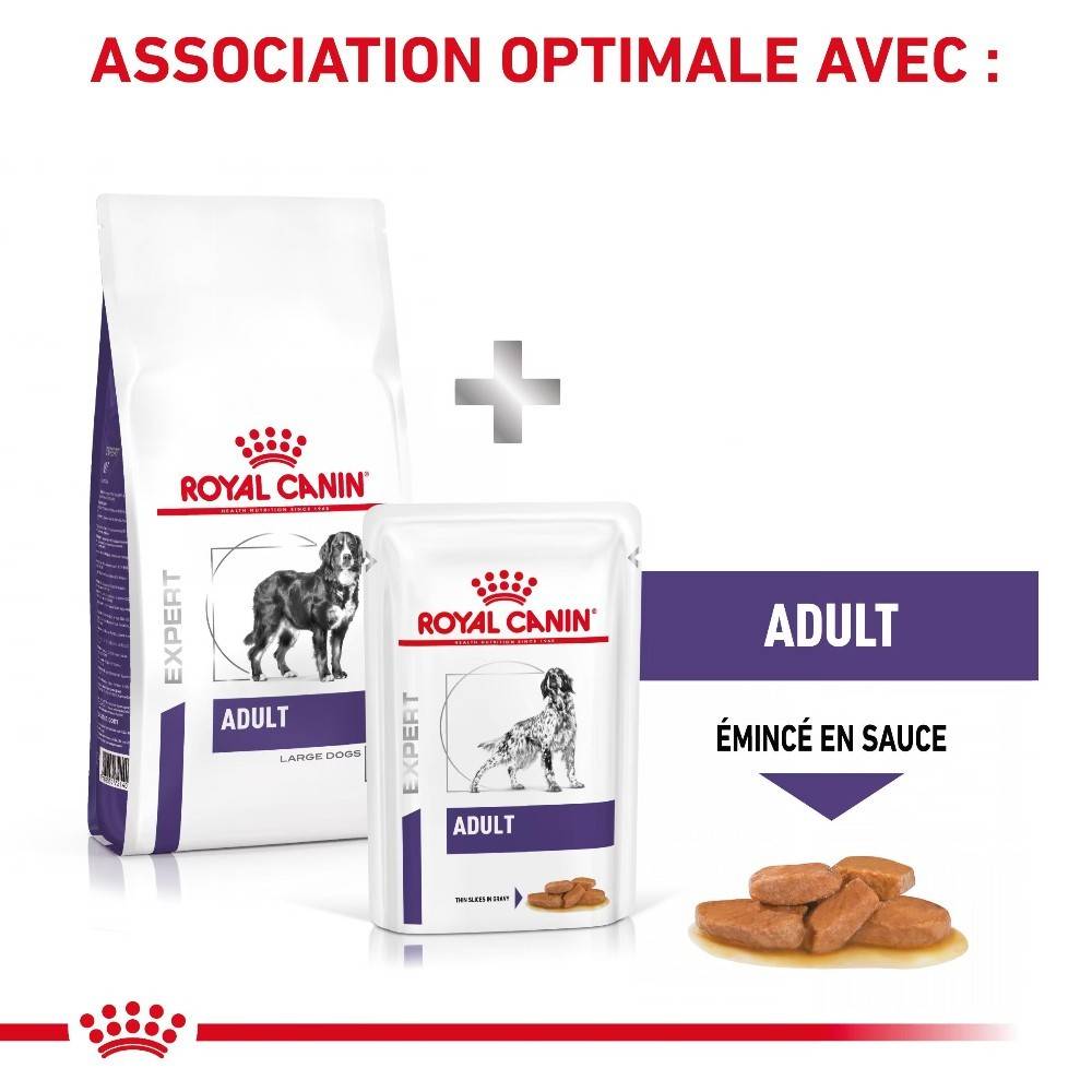 Royal Canin - Croquettes chien VETERINARY DOG ADULT LARGE - Royal Canin 13 kg - Imagen 2