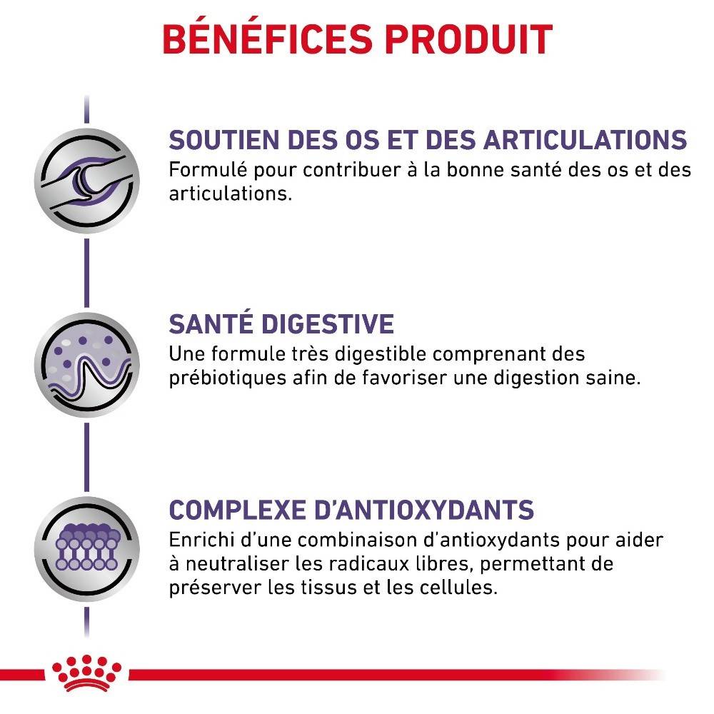 Royal Canin - Croquettes chien VETERINARY DOG ADULT LARGE - Royal Canin 13 kg - Imagen 3