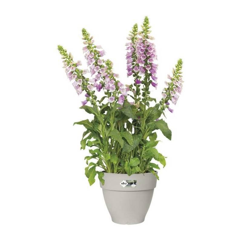 Elho - Pot De Fleurs Rond Vibia - Plastique Réservoir - ø40 - Blanc - Imagen 4