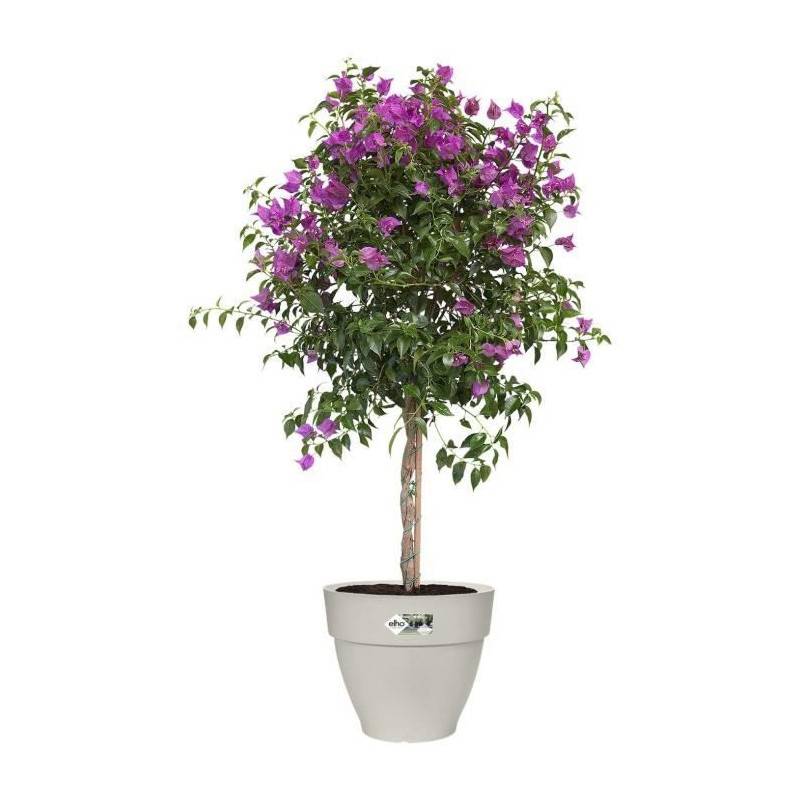 Elho - Pot De Fleurs Rond Vibia - Plastique Réservoir - ø40 - Blanc - Imagen 3