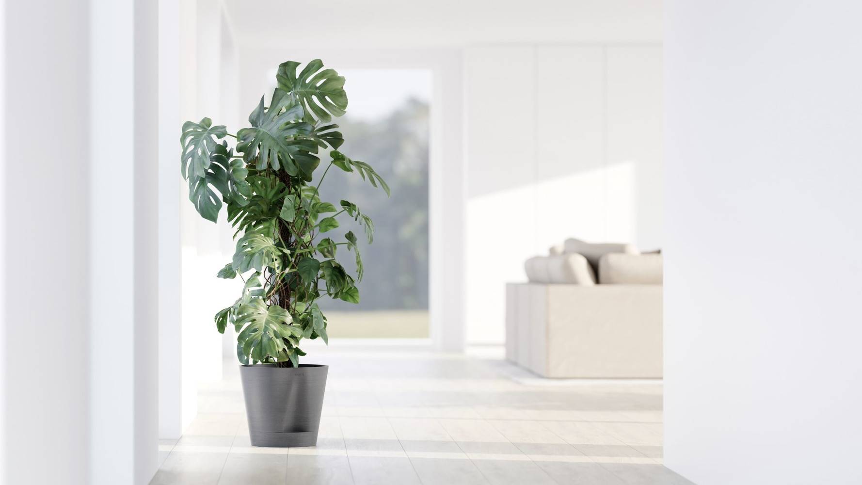 Ecopots - Pot Rond Venice 2 Gris + réservoir d'eau - Ø 30 x H. 26,3 cm - 4 L ECOPOTS - Imagen 3