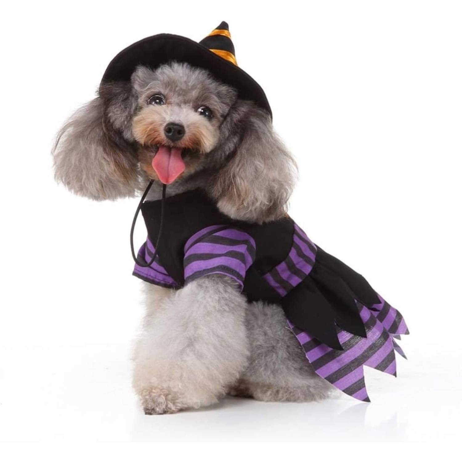 DtopbuyAge - Déguisement Sorcière pour Petit Chien L DtopbuyAge - Image 2
