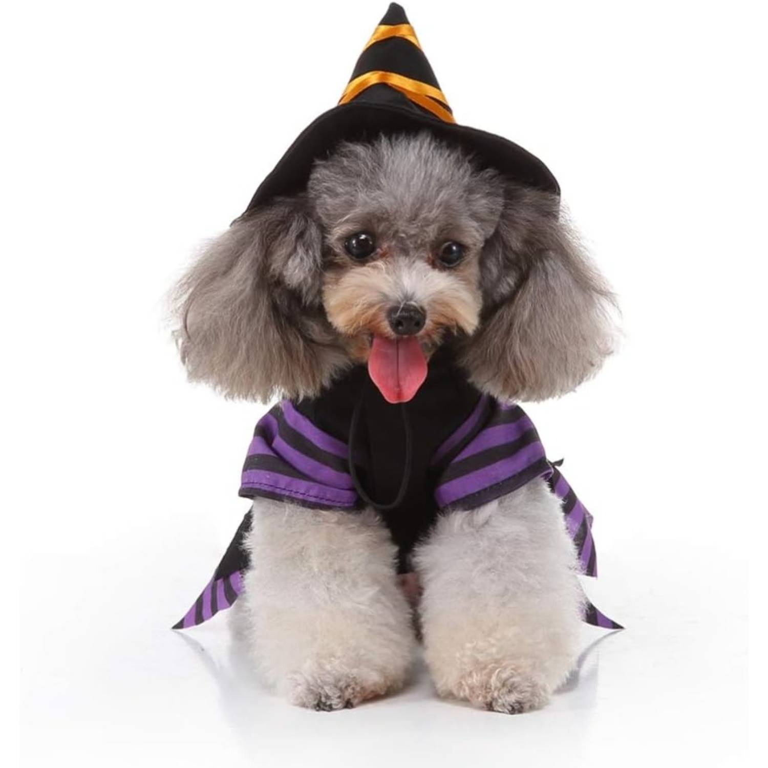 DtopbuyAge - Déguisement Sorcière pour Petit Chien L DtopbuyAge - Image 3