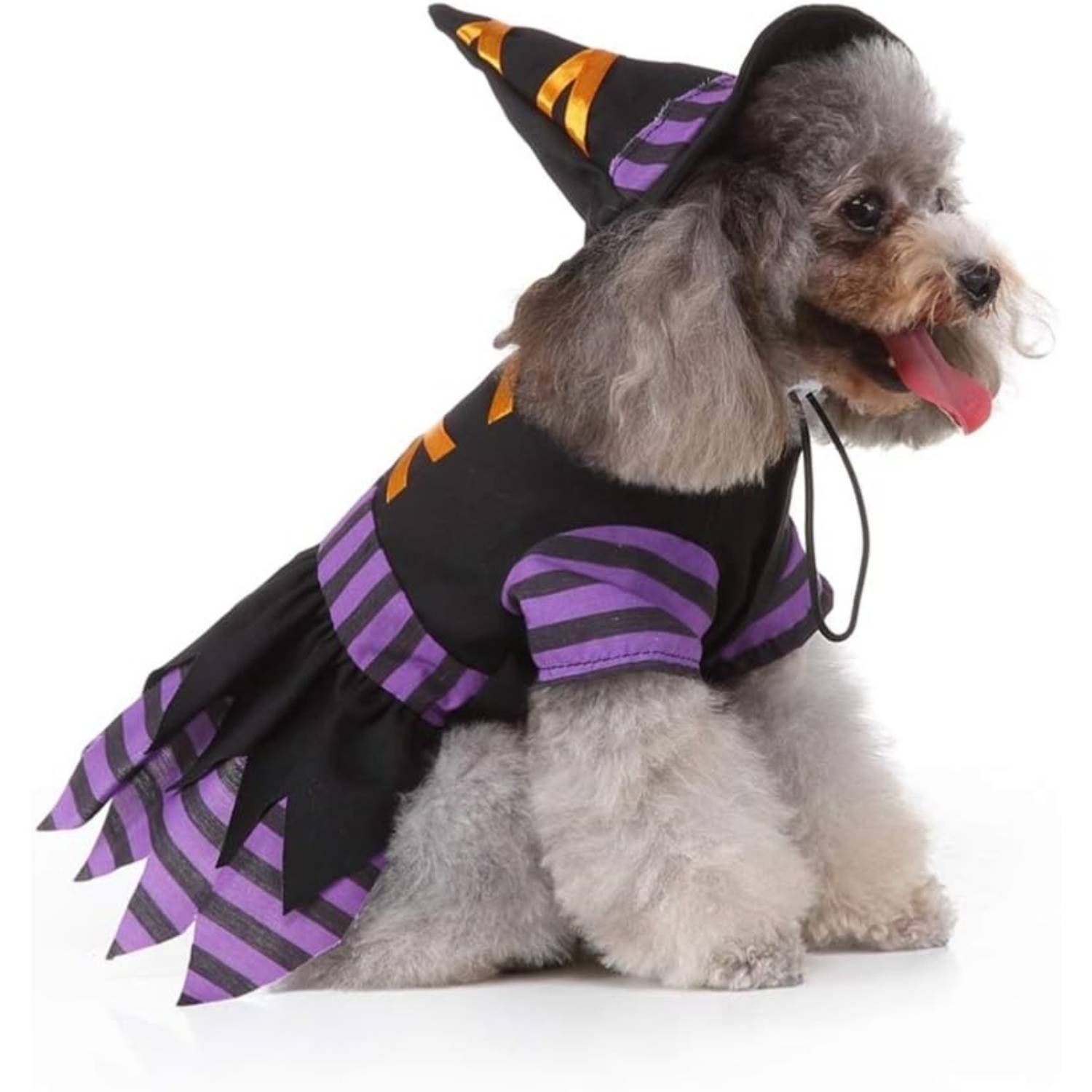 DtopbuyAge - Déguisement Sorcière pour Petit Chien L DtopbuyAge - Image 4