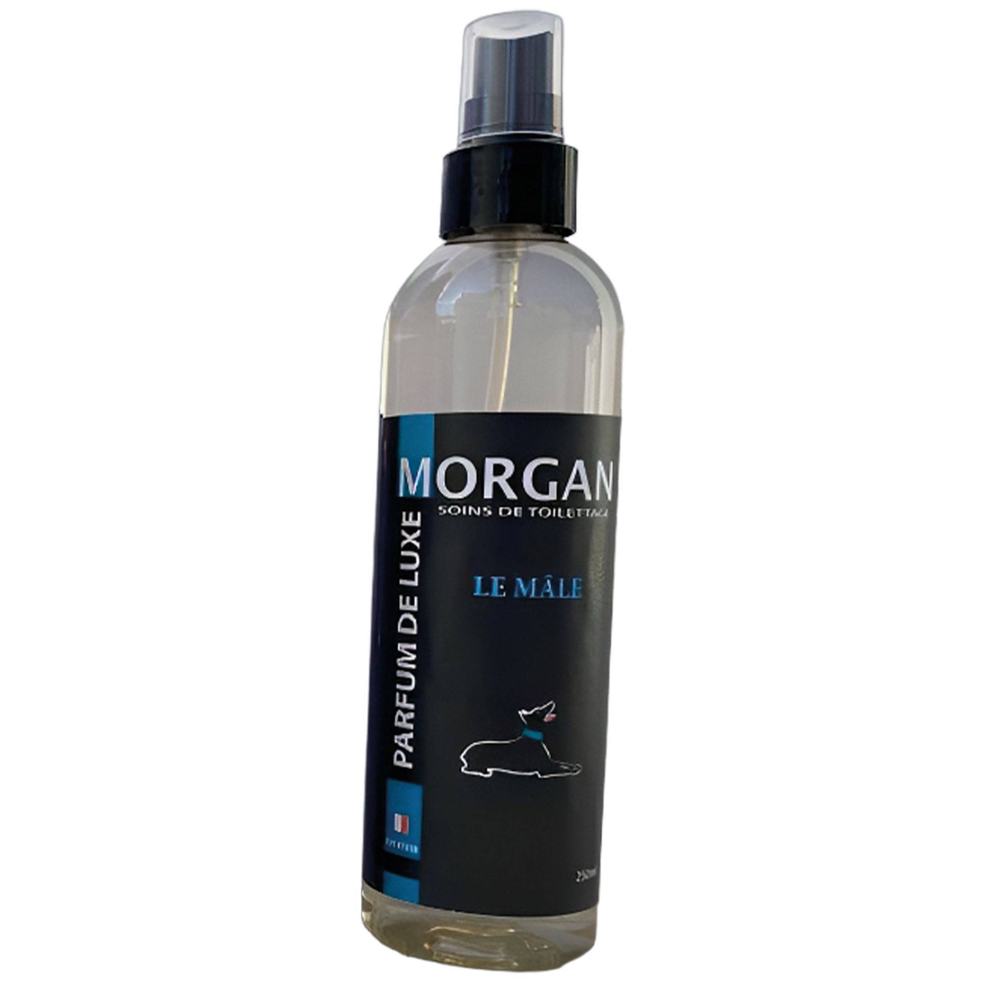 Parfum Morgan Le Mâle : 250ml MORGAN