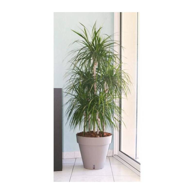 Riviera - Riviera Pot De Fleurs Loft Avec Reserve Deau - Rond - O 60 X H 55 Cm - Taupe - Imagen 1