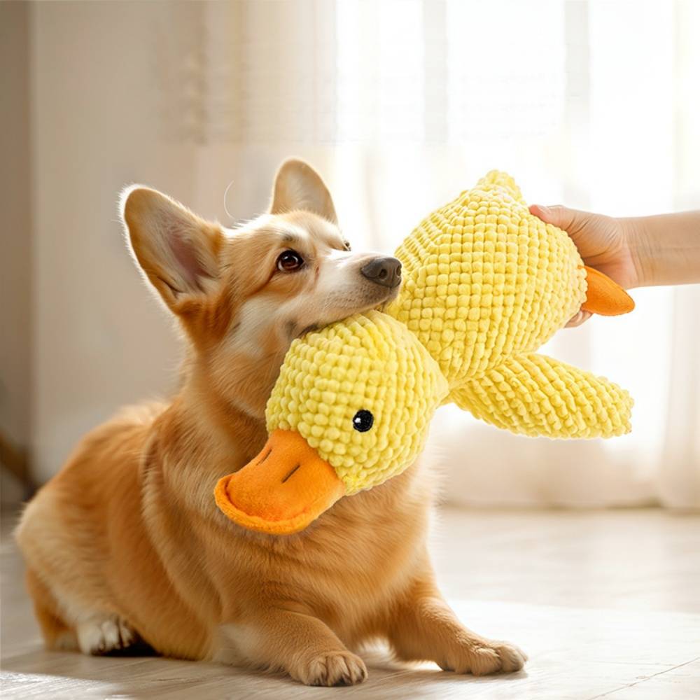 DtopbuyAge - Jouet en peluche de canard pour chiens DtopbuyAge