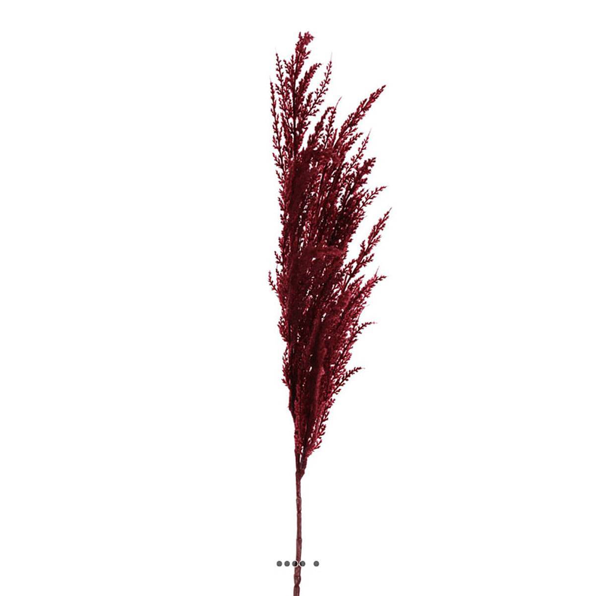 Artificielles - Magnifique fausse herbe de pampa grande tige 100 cm Pourpre - couleur: Pourpre - Imagen 1