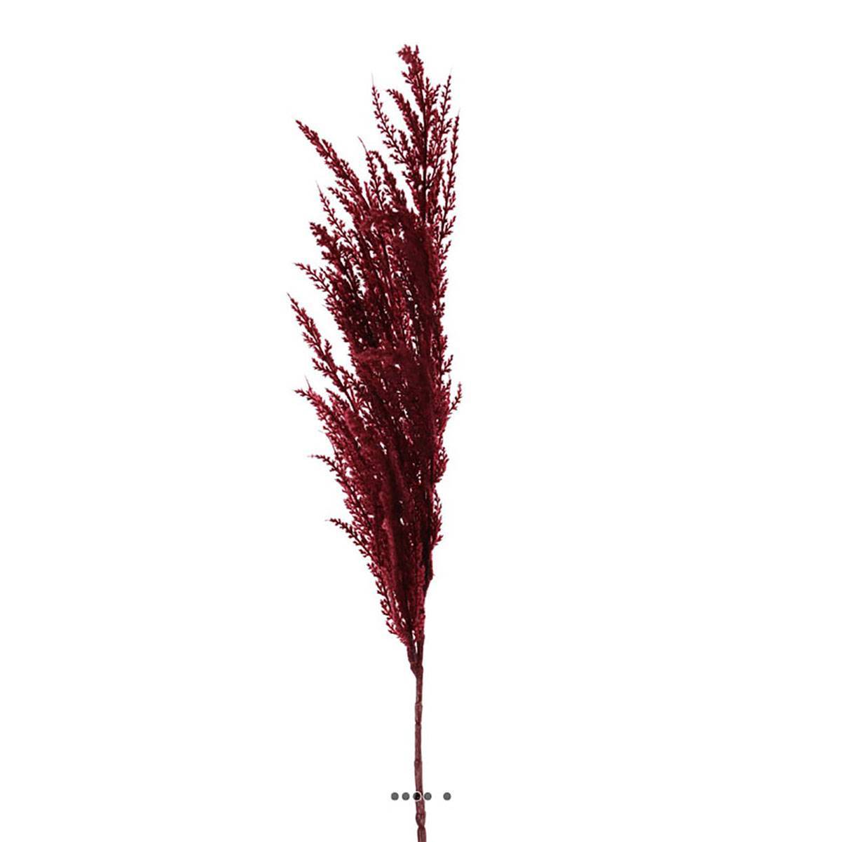 Artificielles - Magnifique fausse herbe de pampa grande tige 100 cm Pourpre - couleur: Pourpre - Imagen 2