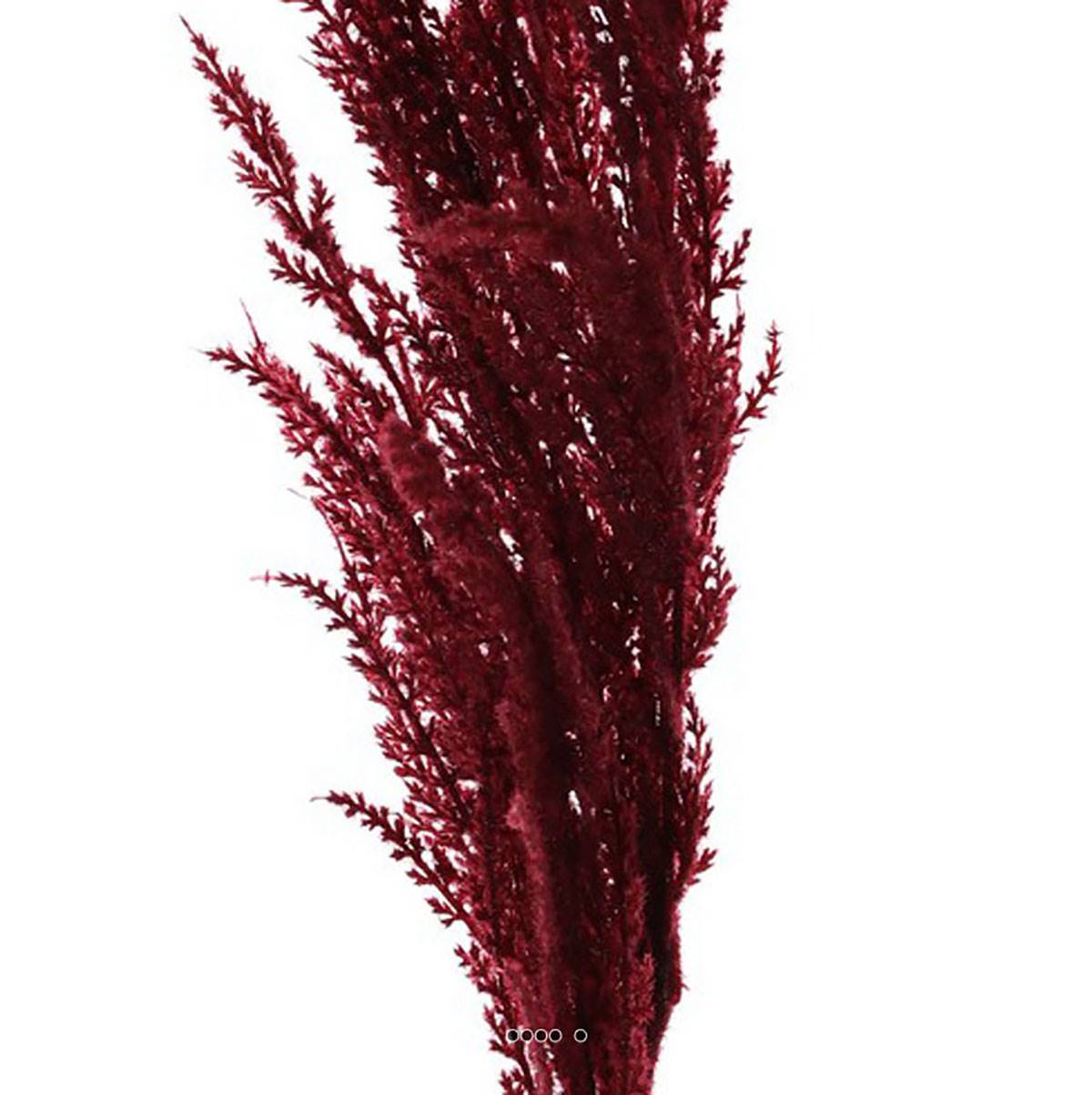 Artificielles - Magnifique fausse herbe de pampa grande tige 100 cm Pourpre - couleur: Pourpre - Imagen 3