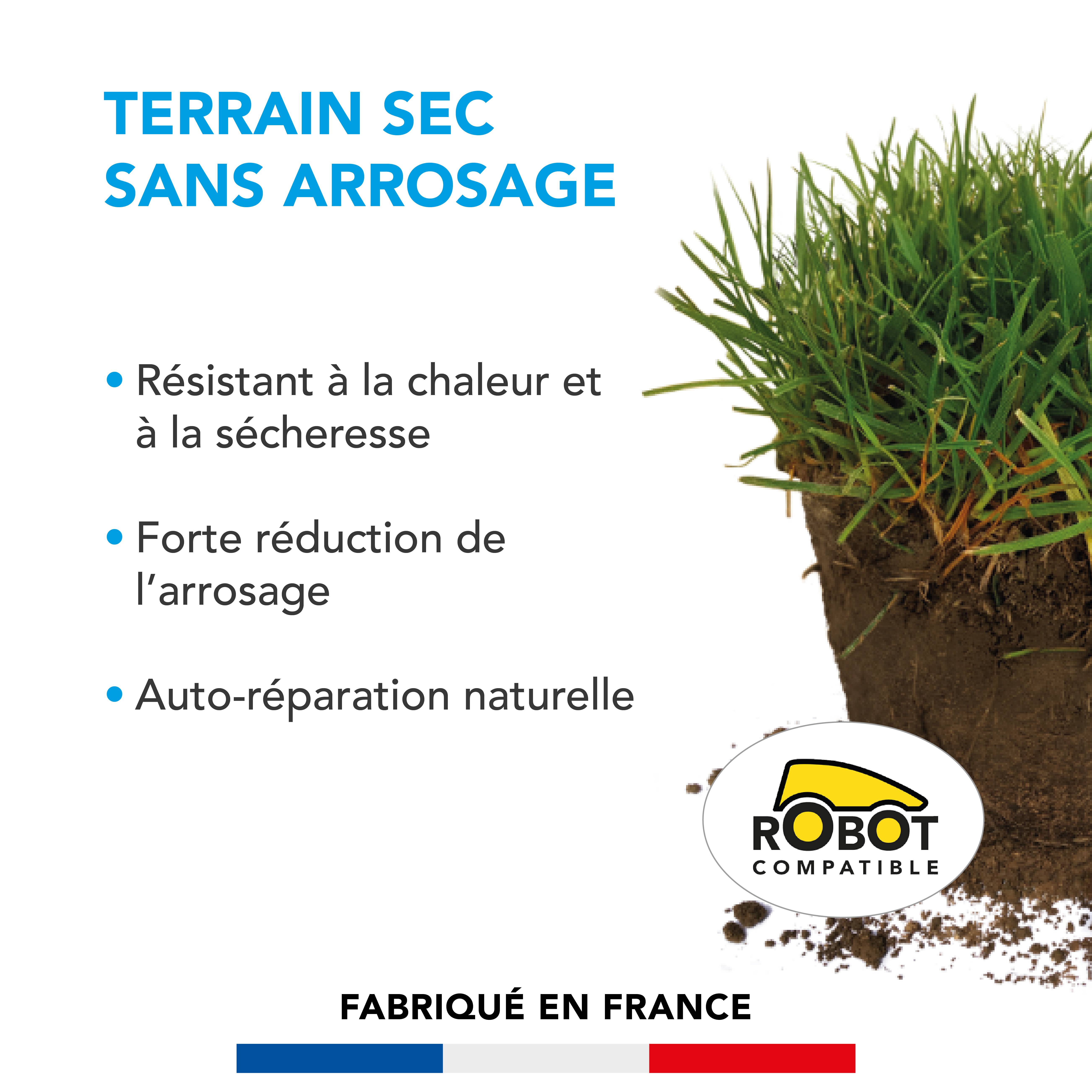 Gazon Terrain Sec sans arrosage - Résiste à la Chaleur et à la Sécheresse - Forte Réduction de l'Arrosage - Autoréparation Naturelle - 5KG - BARENBRUG - Image 2