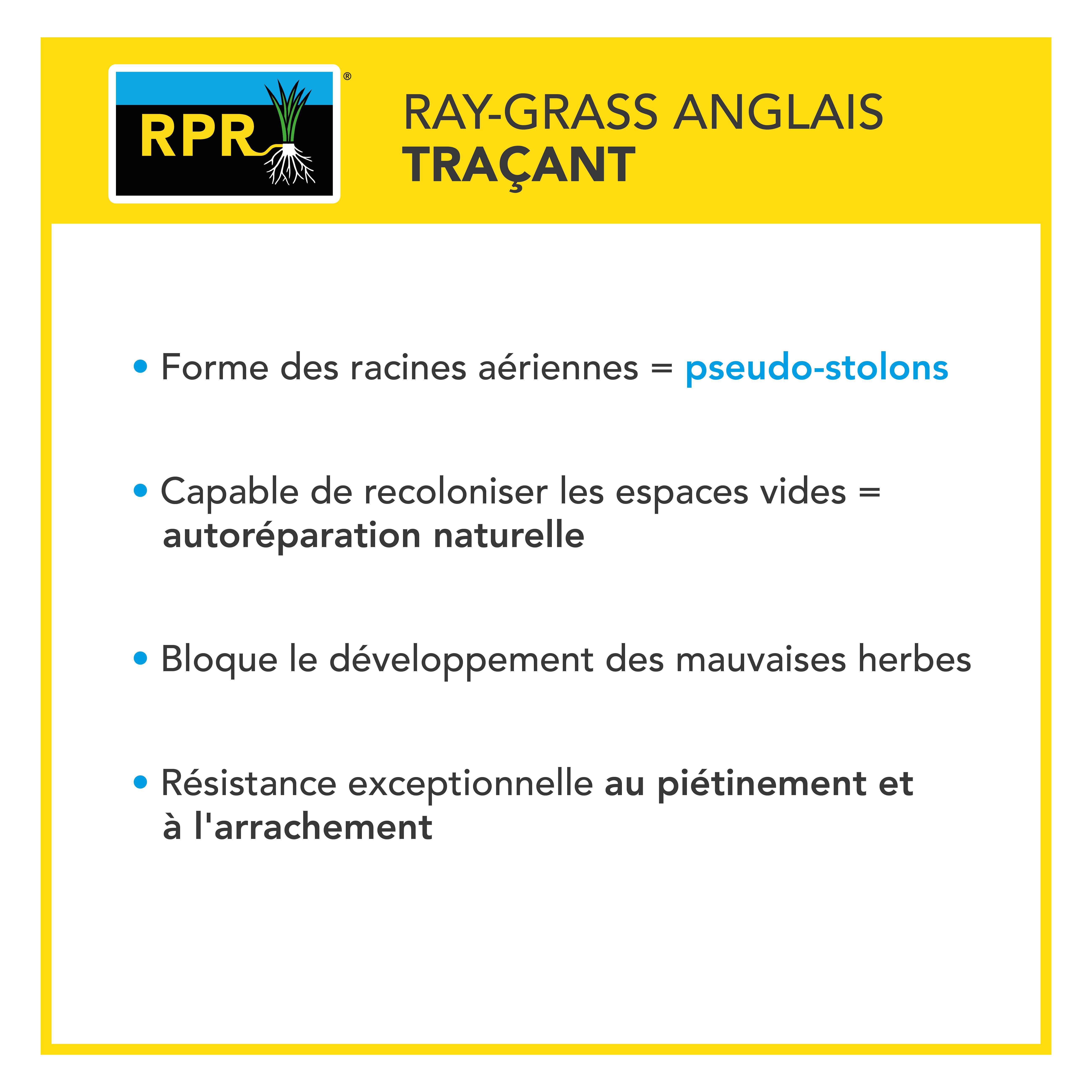 Gazon Terrain Sec sans arrosage - Résiste à la Chaleur et à la Sécheresse - Forte Réduction de l'Arrosage - Autoréparation Naturelle - 5KG - BARENBRUG - Image 6
