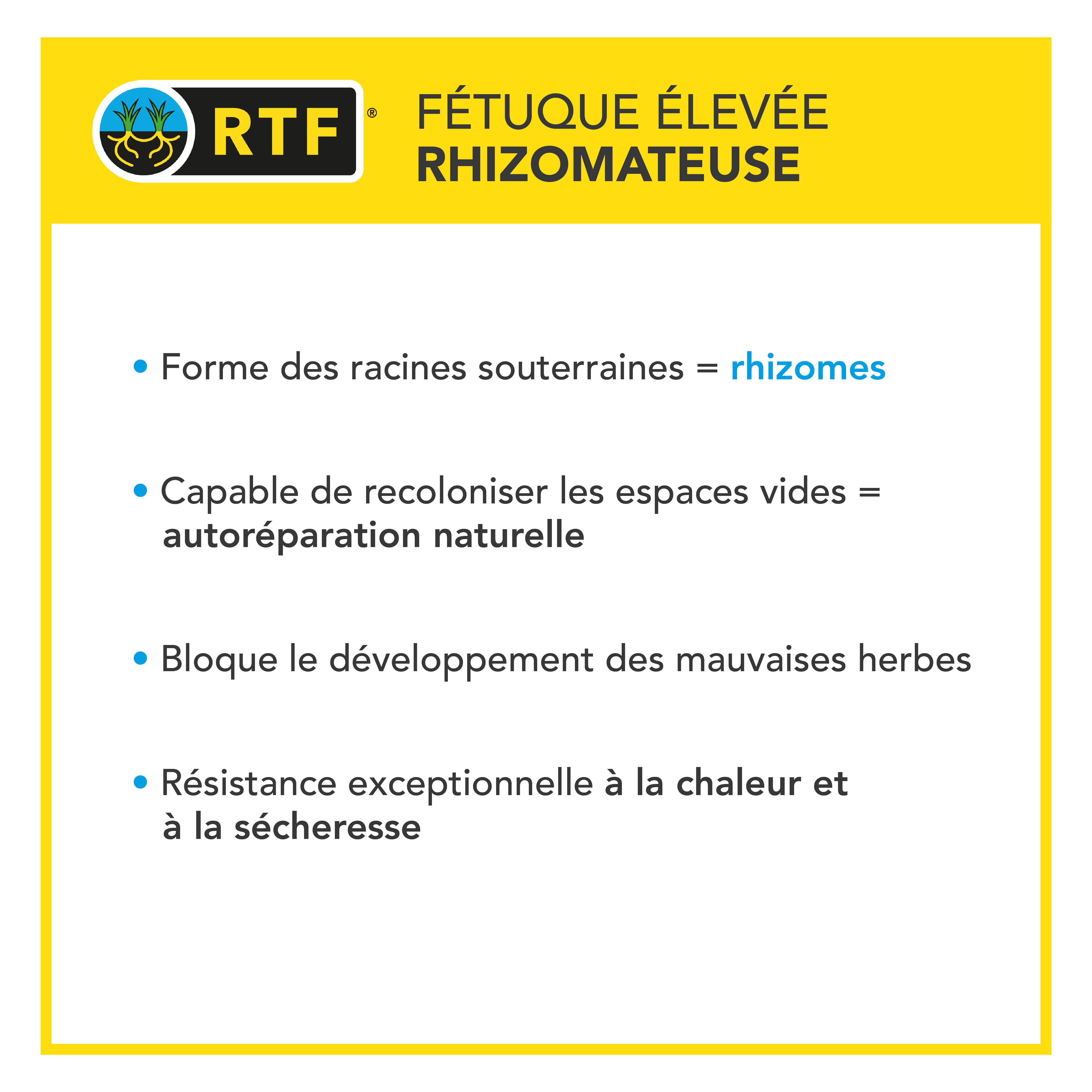 Gazon Terrain Sec sans arrosage - Résiste à la Chaleur et à la Sécheresse - Forte Réduction de l'Arrosage - Autoréparation Naturelle - 5KG - BARENBRUG - Image 5
