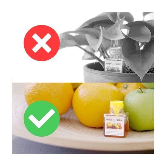 Superninja - Pièges (x4) contre les mouches des fruits (drosophile) - Imagen 5