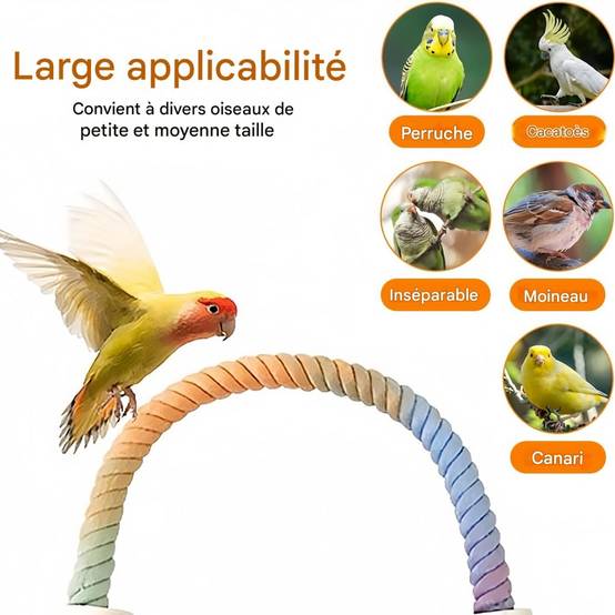 IntiMeg - Jouet pour oiseaux spirale en corde IntiMeg - Image 6