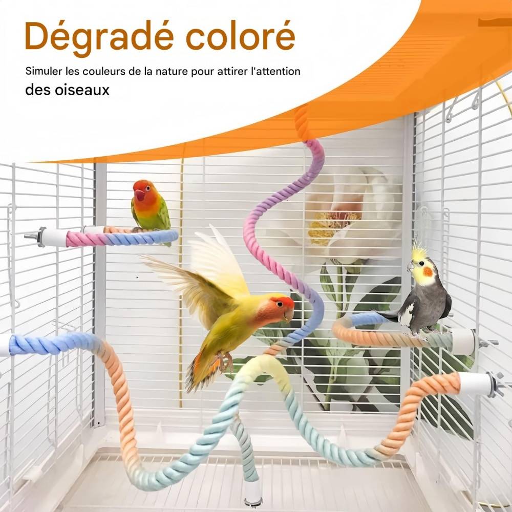 IntiMeg - Jouet pour oiseaux spirale en corde IntiMeg - Image 7
