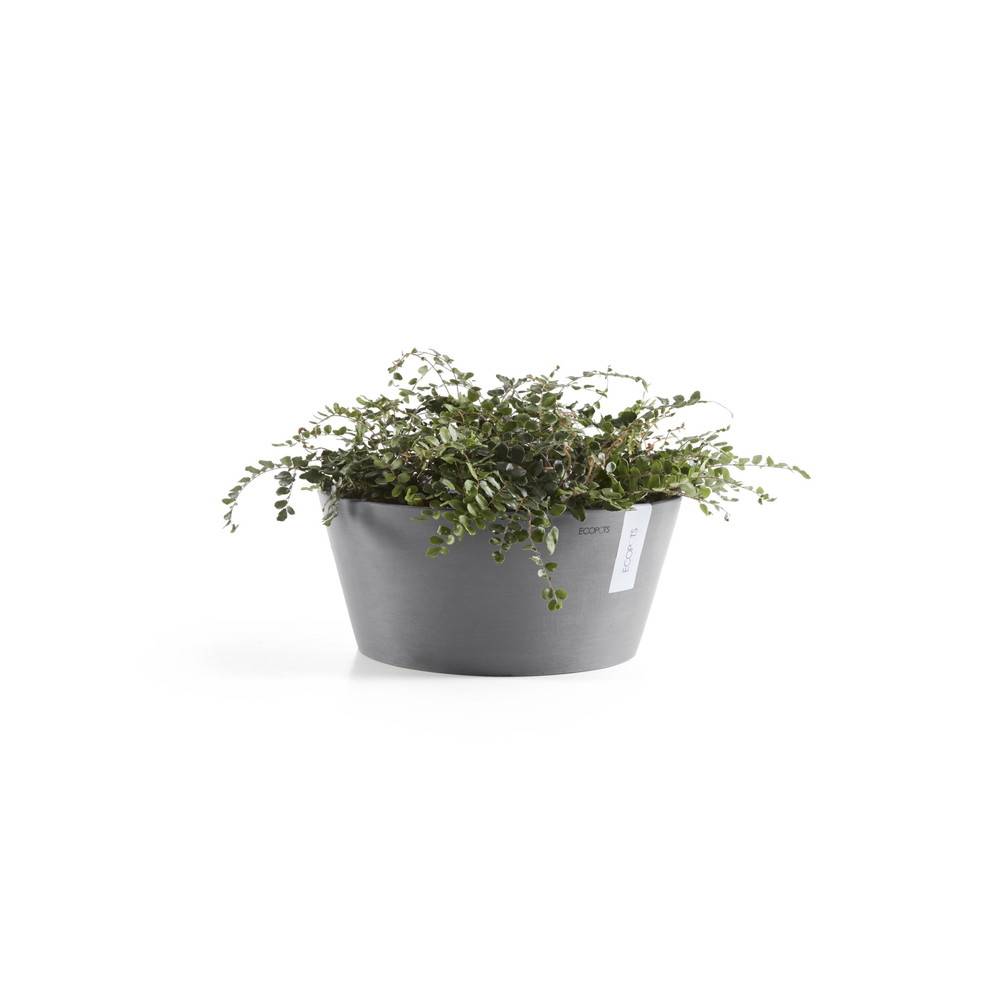 Ecopots - Pot Rond Frankfurt 30 Gris - Ø 30,5 x H. 15 cm - 8 L ECOPOTS - Imagen 2