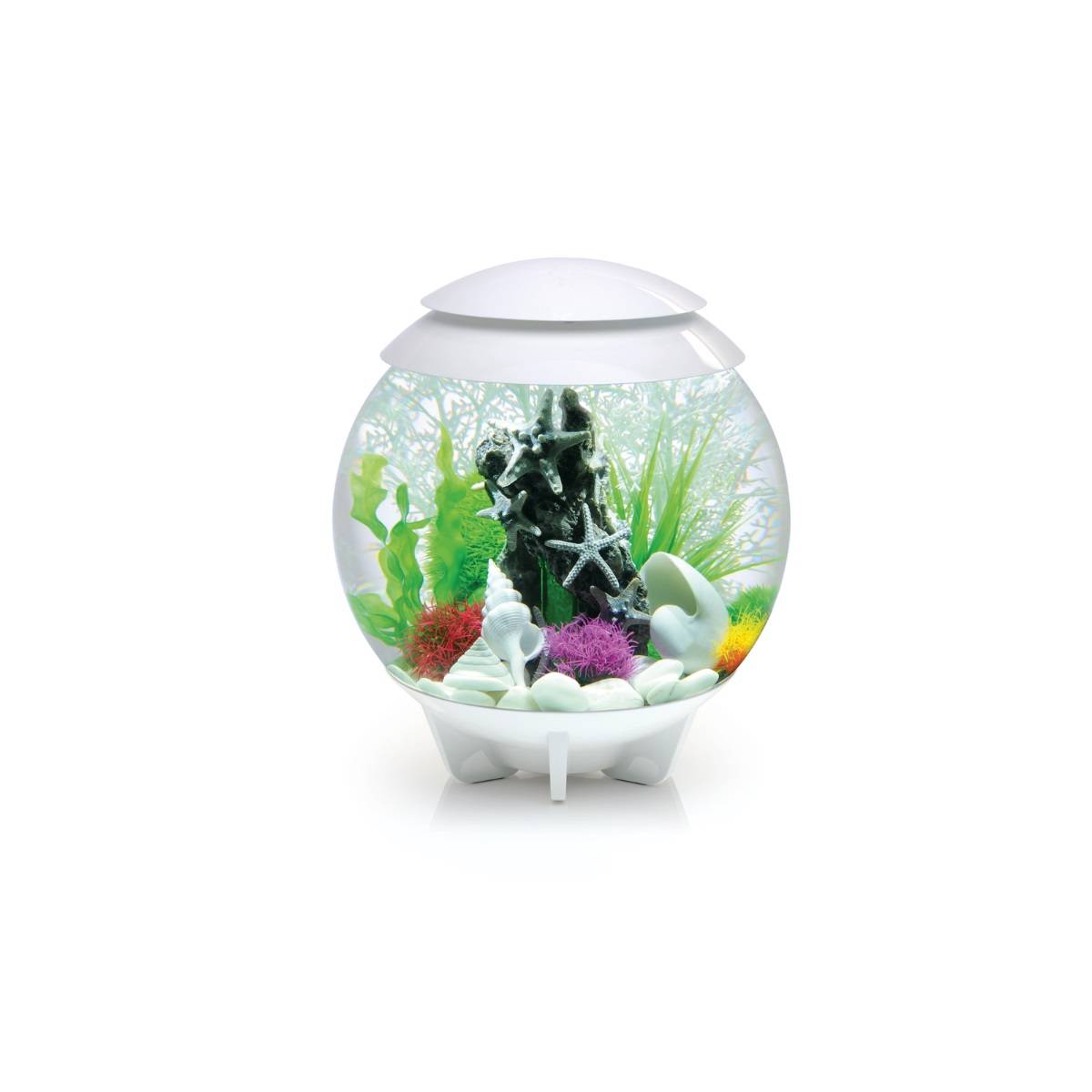 Oase - Aquarium décoratif 30l blanc HALO 30 MCR WHITE Oase - Image 2