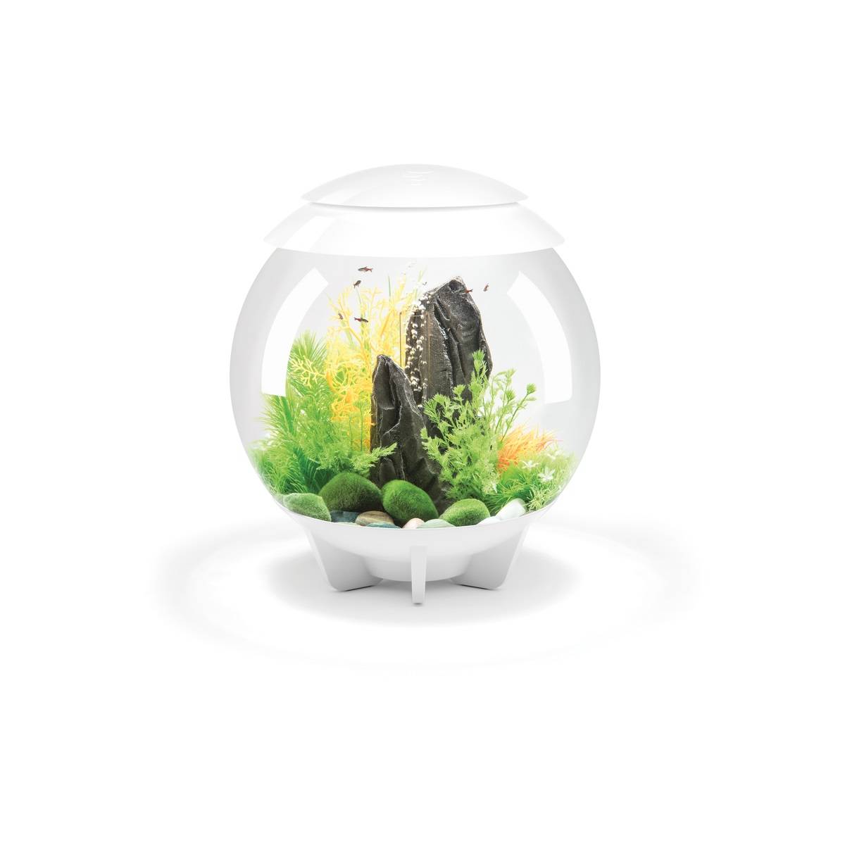 Oase - Aquarium décoratif 30l blanc HALO 30 MCR WHITE Oase - Image 1