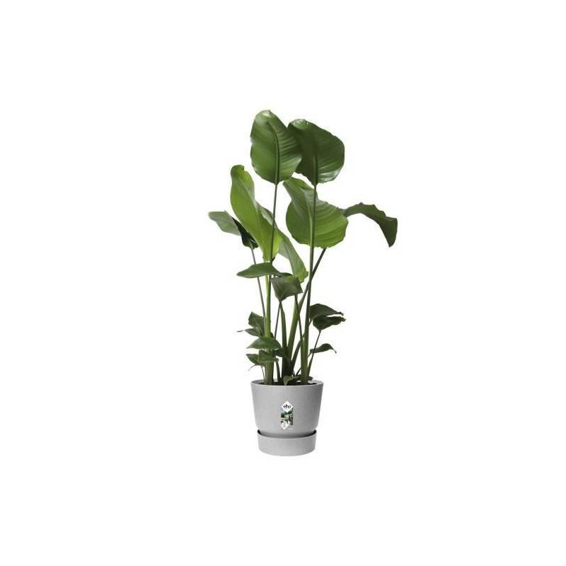 Elho - Elho Pot De Fleurs Rond Greenville 40 - Exterieur - O 39 X H 36,8 Cm - Gris Beton Vivant - Imagen 4
