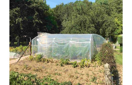 Serre tunnel de jardin - 18m² - 3 x 6 m - pieds droits - haute résistance à petit prix - LES SERRES TONNEAU - Image 7