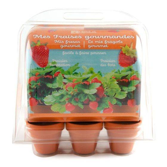 Radis et Capucine - Radis et Capucine - Mini serre 6 pots - Fraises à faire pousser - Imagen 1