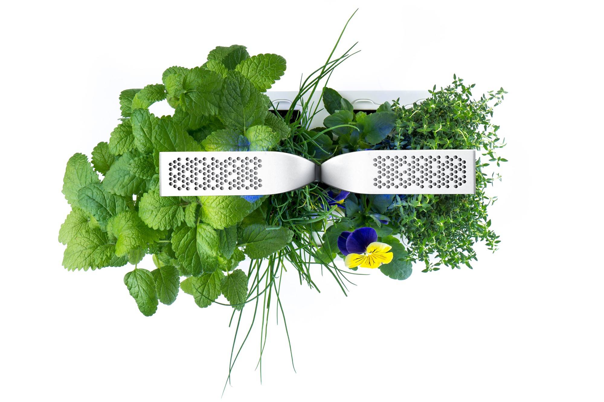 Veritable - Potager d'intérieur Autonome Véritable CLASSIC - Livré avec 4 Lingots - Véritable - Imagen 3