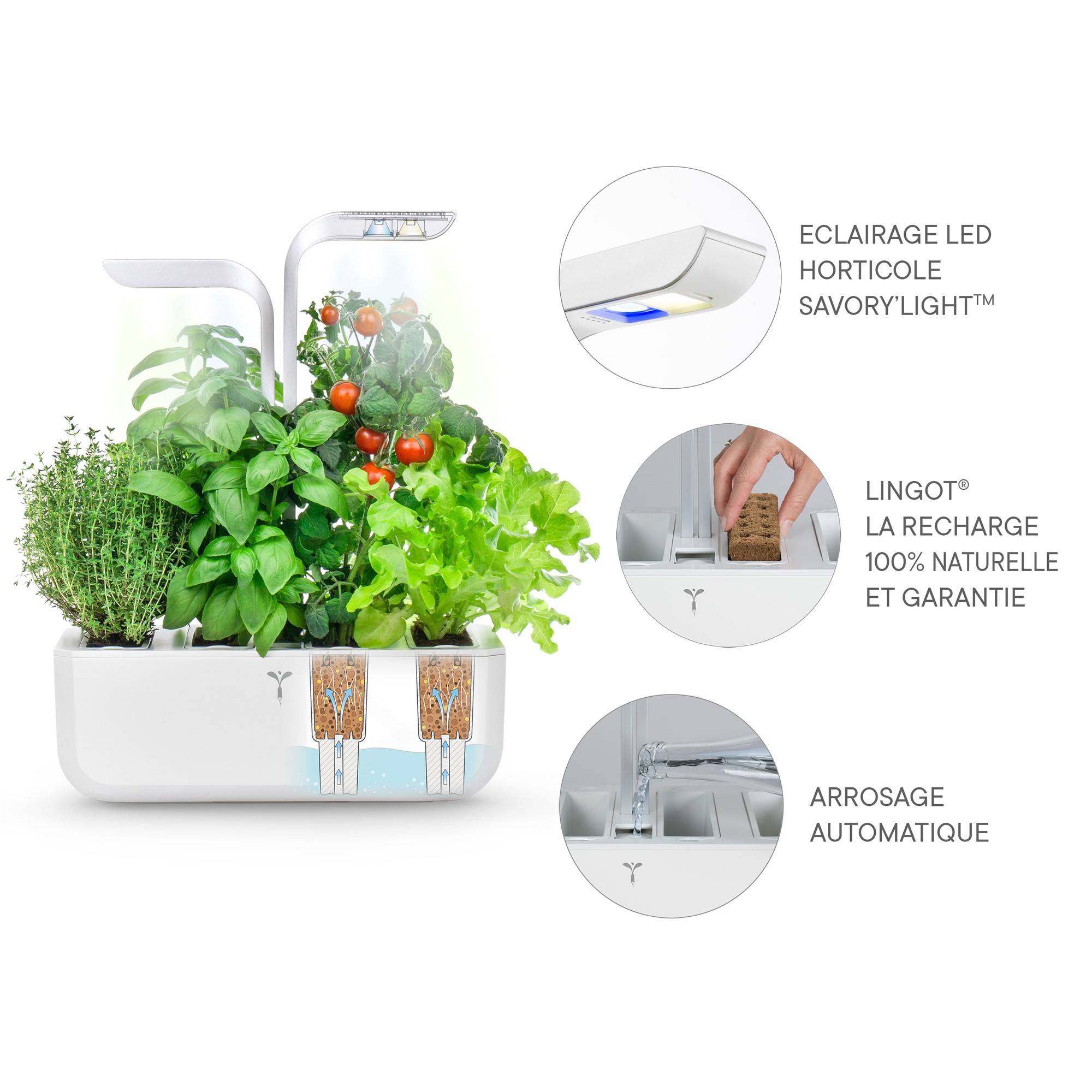 Veritable - Potager d'intérieur Autonome Véritable CLASSIC - Livré avec 4 Lingots - Véritable - Imagen 5