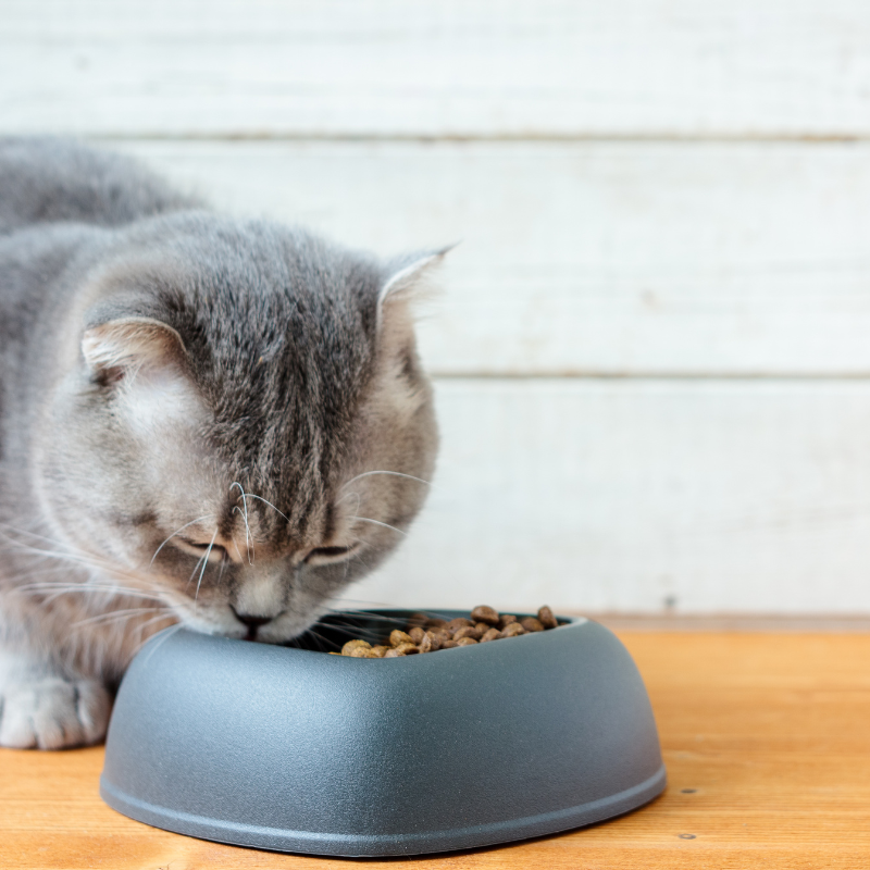 Octave Prestige - Croquettes au Poulet pour Chat - Imagen 2