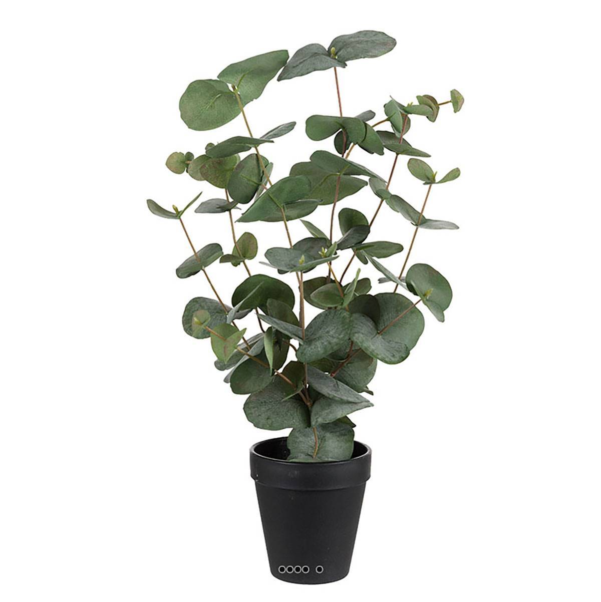 Artificielles - Eucalyptus artificiel en pot H 55 cm - Imagen 1