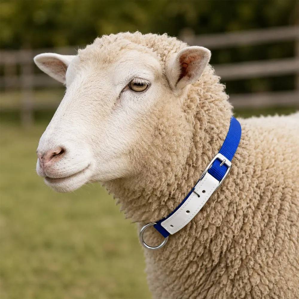 Collier moutons et chèvres nylon vert - Image 4