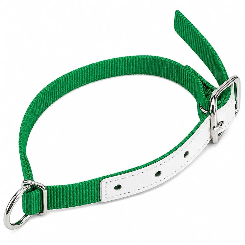 Collier moutons et chèvres nylon vert - Image 1