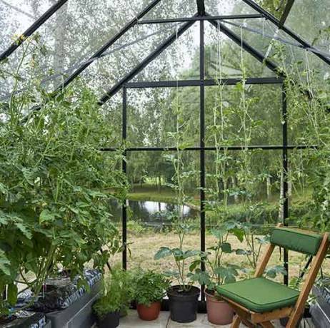 Halls - Serre de jardin Universal en verre horticole avec base 9.9m², Couleur Aluminium - Imagen 10