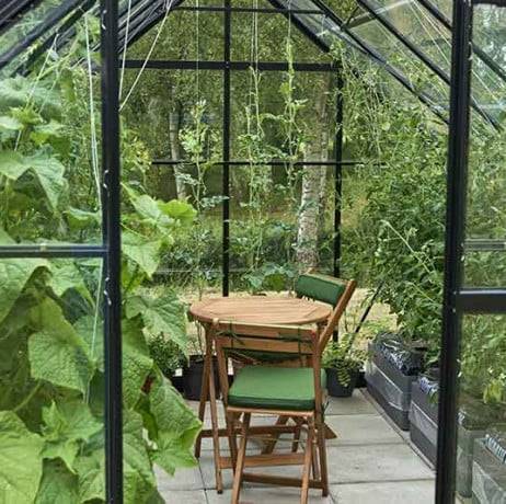 Halls - Serre de jardin Universal en verre horticole avec base 9.9m², Couleur Aluminium - Imagen 9