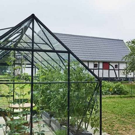 Halls - Serre de jardin Universal en verre horticole avec base 9.9m², Couleur Aluminium - Imagen 8