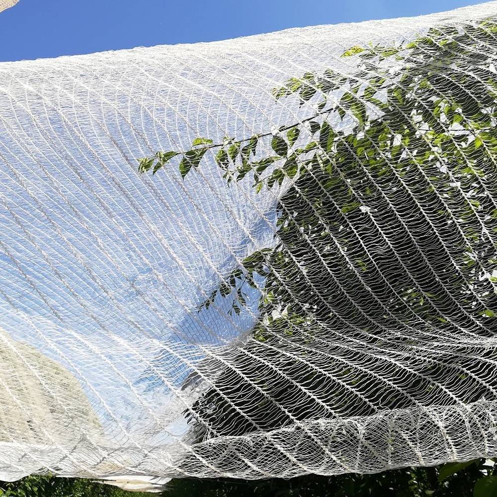 Terre Jardin - Filet anti oiseaux/grêle 3 x 10 m - TERRE JARDIN - Image 3