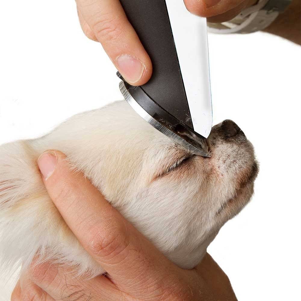 Tondeuse pour chien - Image 3