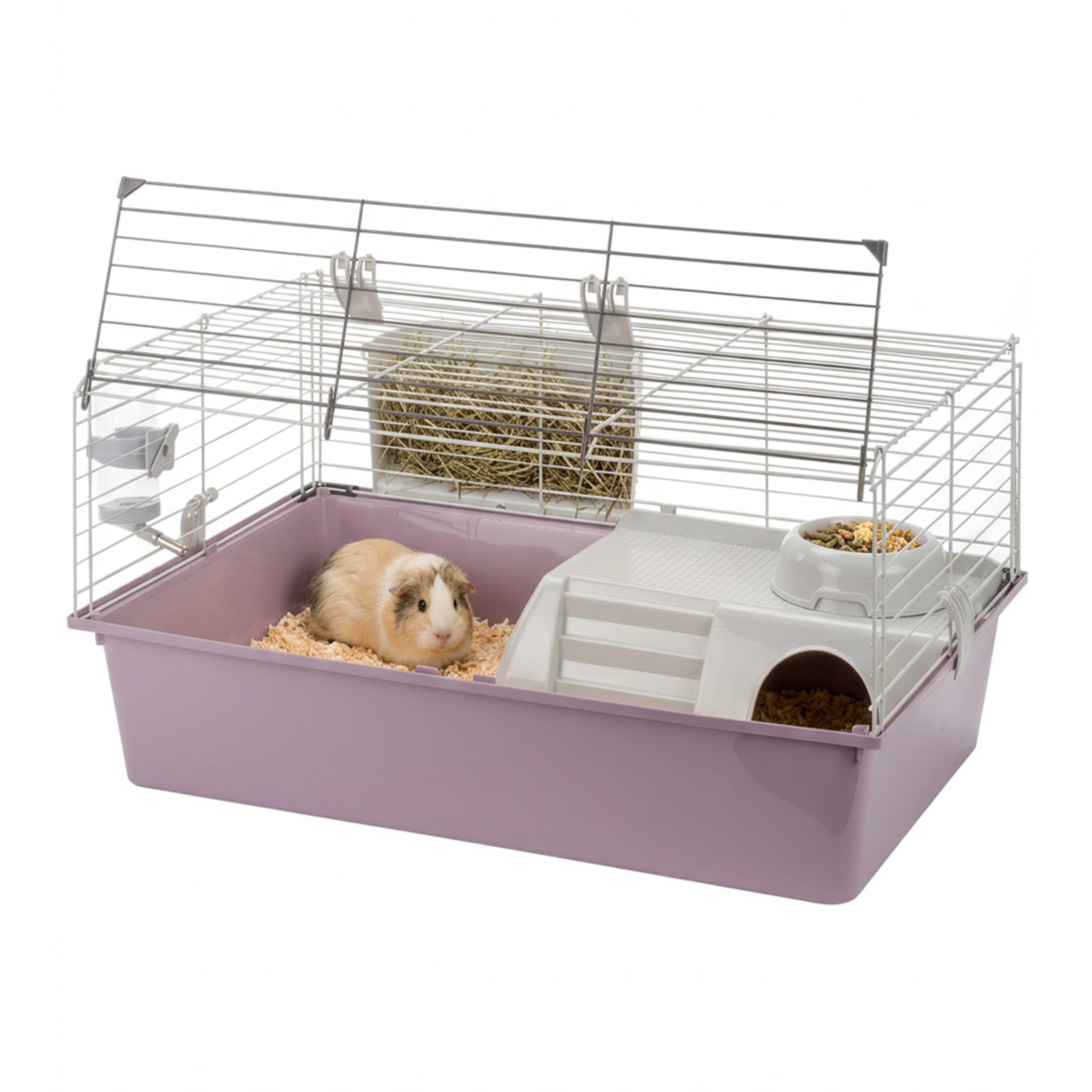Ferplast - FERPLAST Cage pour Rongeurs GUINEA 70 pour Cochons d'Inde, Cochons d'Inde, en Métal, Accessoires inclus : Mangeoire, Abreuvoir, Maison, Gamelle. - Image 4