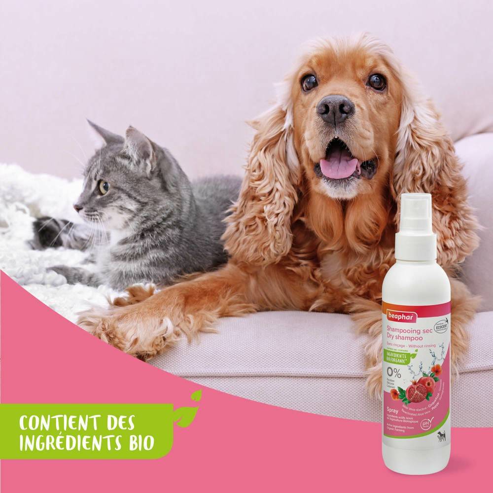 Shampooing sec Premium Beaphar pour chat : 200 ml BEAPHAR - Image 2